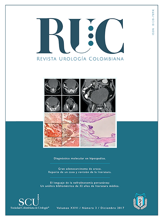 Go to journal home page - Urología Colombiana